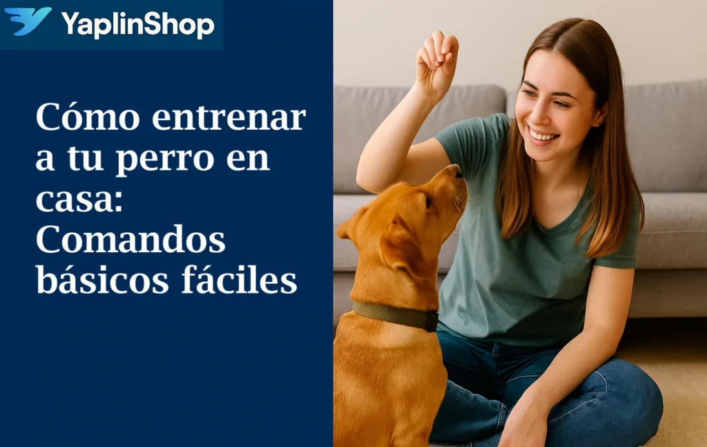 Entreamiento Perro1