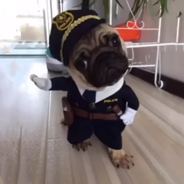 Disfraz Divertido de Halloween Para Perro y Gato, Ropa Para Mascotas, Regalo, Ropa Vaquera - Imagen 4